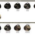 01-B-LIFE-COLOR_colorChart