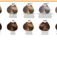 03-B-LIFE-COLOR_colorChart