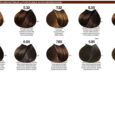 04-B-LIFE-COLOR_colorChart