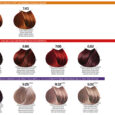 05-B-LIFE-COLOR_colorChart
