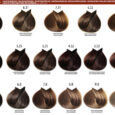 05_BROWN