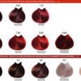 08_REDS