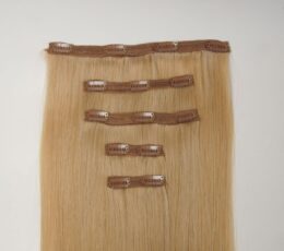 NV Clip In 5 Pcs Hair Extensions 50-52cm Wheat/ 10