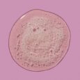 CB-color-protect-Shampoo-Smear-2