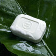 TeaTreeBodyBar1