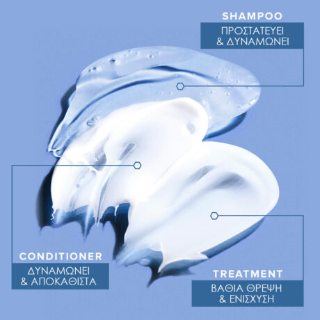 Translated-Infographic