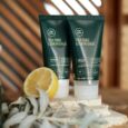 tt-lemon-sage-treat_blowout