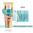 wella-color-fresh-mask-mint-150ml-huge